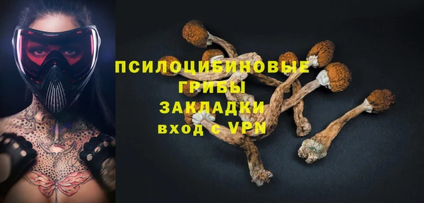 не бодяженный Рославль