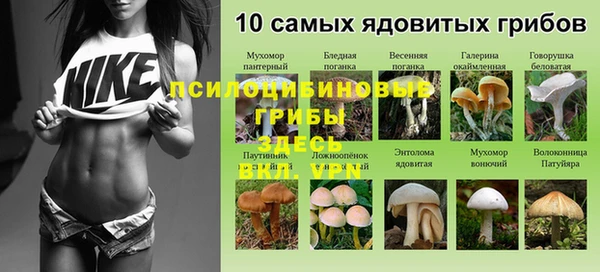 не бодяженный Рославль