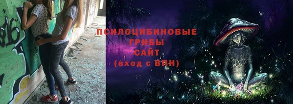не бодяженный Рославль