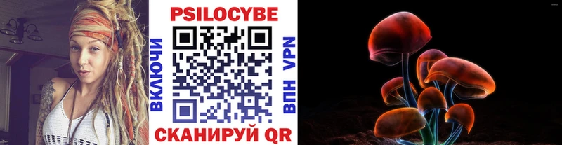 Псилоцибиновые грибы мицелий  Купить  Змеиногорск 